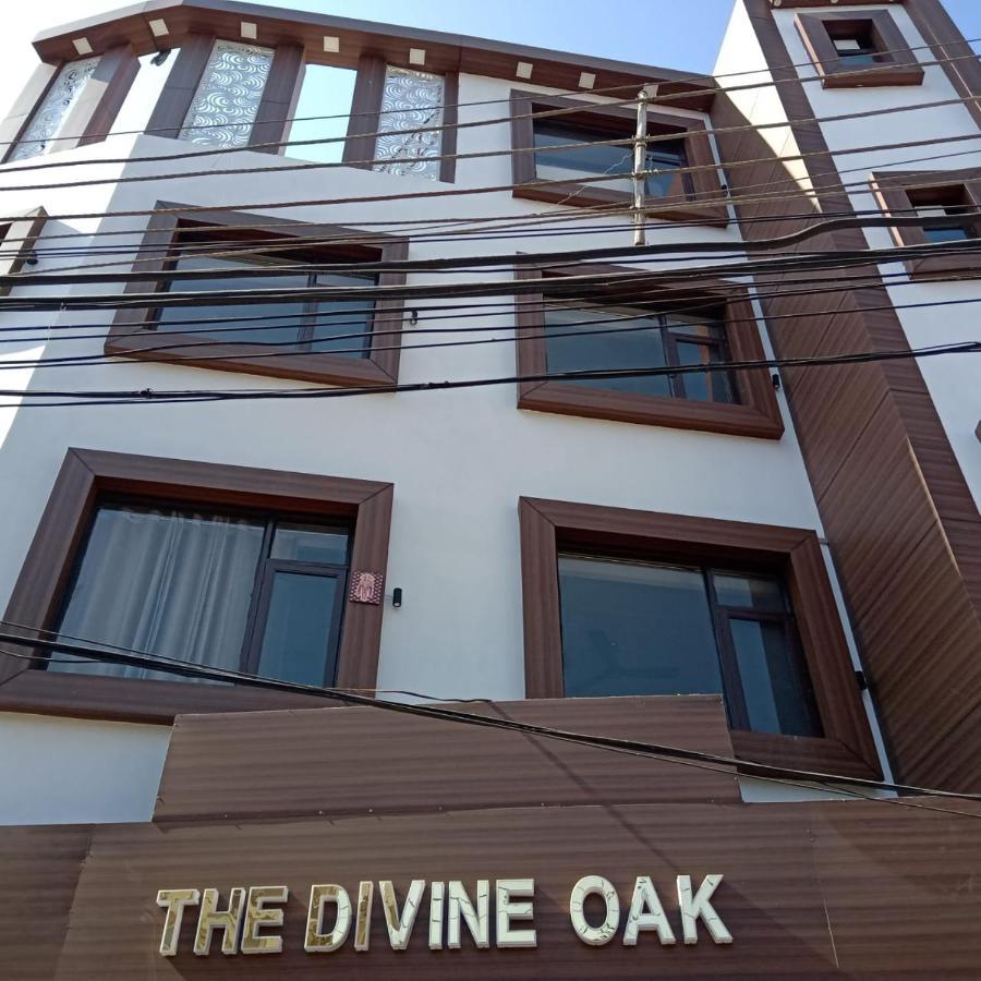 Hotel The Divine Oak Katra  Exterior foto
